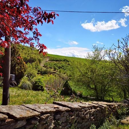 Agriturismo Locanda Dei Cacciatori Dogliani Luaran gambar