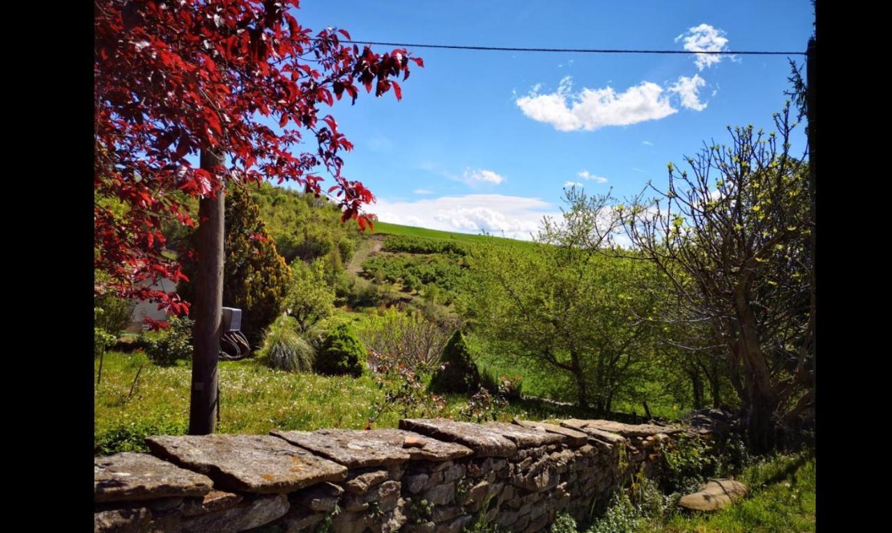 Agriturismo Locanda Dei Cacciatori Dogliani Luaran gambar